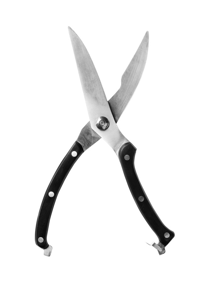 White Porcelain Teapot